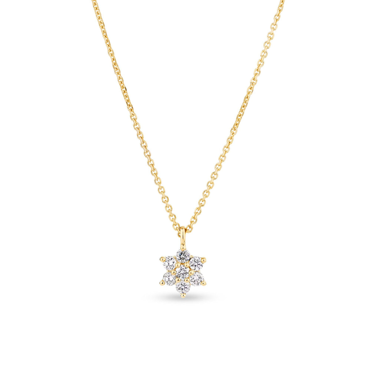 0.16ct TW Diamond Petite Flower Necklace in 9ct Yellow Gold - Wallace Bishop