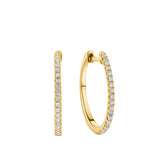 0.25ct TW Diamond Hoop Earrings in 9ct Yellow Gold
