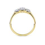 Side-on view of the Wallace Bishop 0.39 TDW Round Diamond Three Stone Engagement Ring in 9ct Yellow Gold, reference 11BRIL3STYWO, on a polished plain yellow gold band.