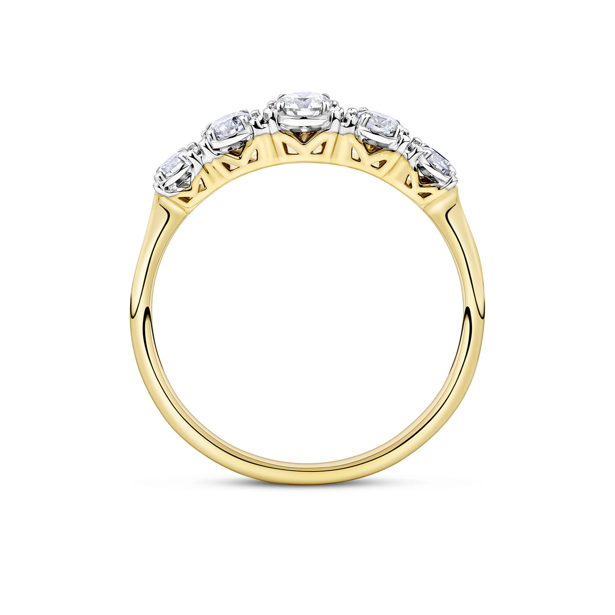 Side-on view of the Wallace Bishop 0.38 TDW Round Diamond Five Stone Engagement Ring in 9ct Yellow Gold, reference 11BRIL5STYWO, on a polished plain yellow gold band.