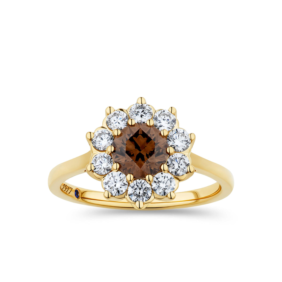 1917™ 1.51ct TW Diamond Flower Halo Engagement Ring in 18ct Yellow Gold - Wallace Bishop