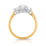 1.00ct TW Round Brilliant Cut Diamond Three Stone Engagement Ring in 18ct Yellow Gold
