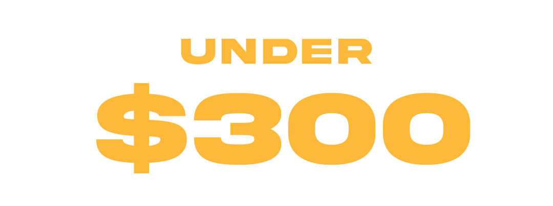 Black Friday Under $300