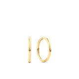 Solid Sleepers in 9ct Yellow Gold