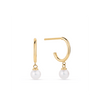 Freshwater Pearl Drop Earrings in 9ct Yellow Gold