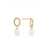 Freshwater Pearl Drop Earrings in 9ct Yellow Gold