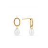 Freshwater Pearl Drop Earrings in 9ct Yellow Gold