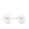 11mm Freshwater Pearl Button Stud Earrings in Sterling Silver