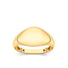 Bold Hollow Dome Signet Ring in 9ct Yellow Gold