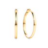 Flat Round Hoop Earrings in 9ct Yellow Gold