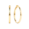 Flat Round Hoop Earrings in 9ct Yellow Gold