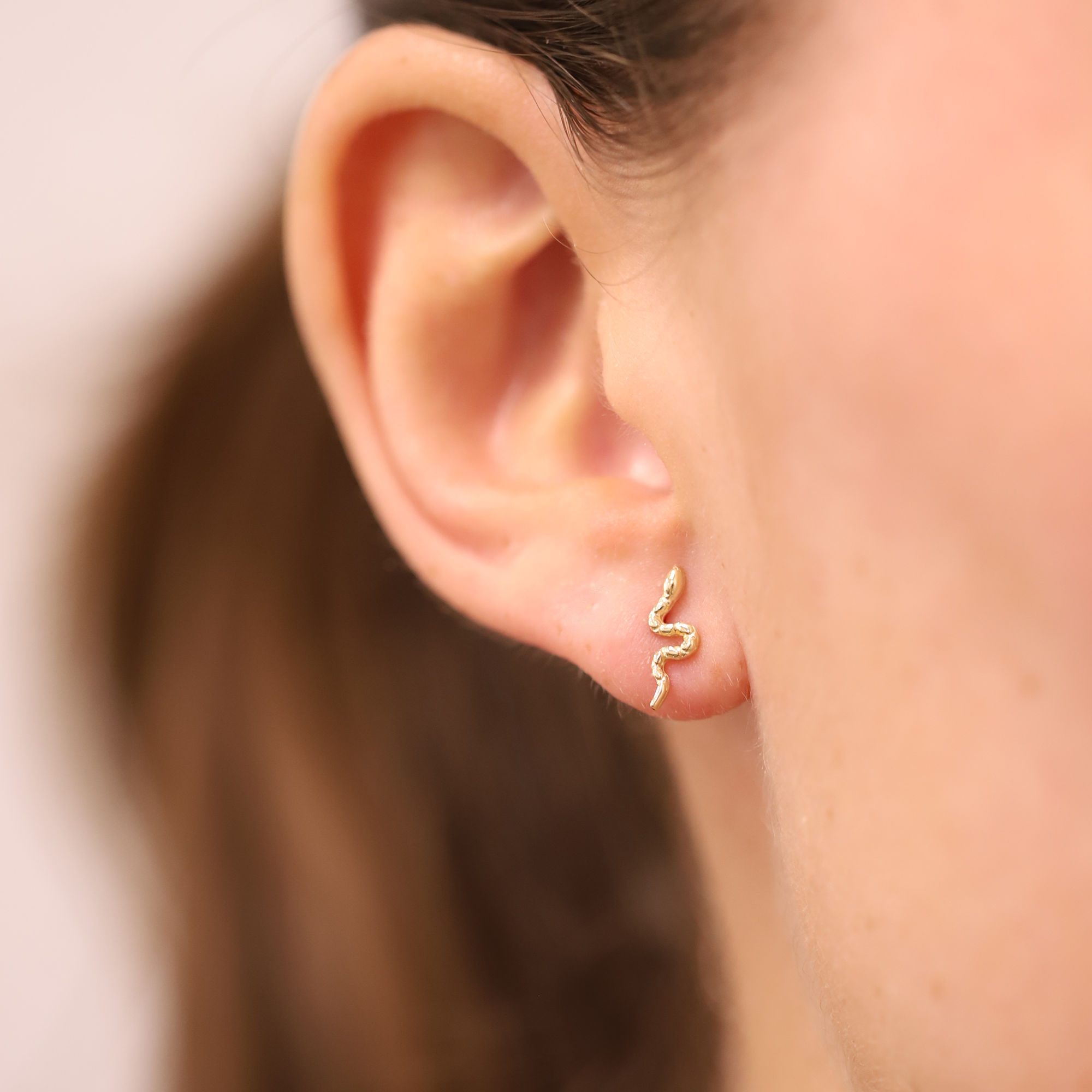 Snake Stud Earrings in 9ct Yellow Gold