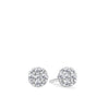 Front-on view of the Wallace Bishop 0.25 TDW Round Diamond Heart Prong Stud Earrings in 9ct White Gold, reference 3EBB239W. Each earring features a cluster of claw-set natural round diamonds framed by small heart-shaped prong details.