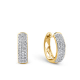 0.15ct TDW Diamond Hoop Earrings in 9ct Yellow Gold