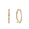 0.50ct TW Diamond Hoop Earrings in 9ct Yellow Gold