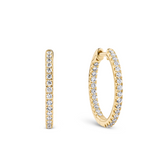 0.50ct TW Diamond Hoop Earrings in 9ct Yellow Gold