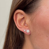 Freshwater Pearl Stud Earrings set in 9ct Yellow Gold