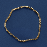 Semi-Solid Box Bracelet in 9ct Yellow Gold