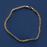 Semi-Solid Box Bracelet in 9ct Yellow Gold