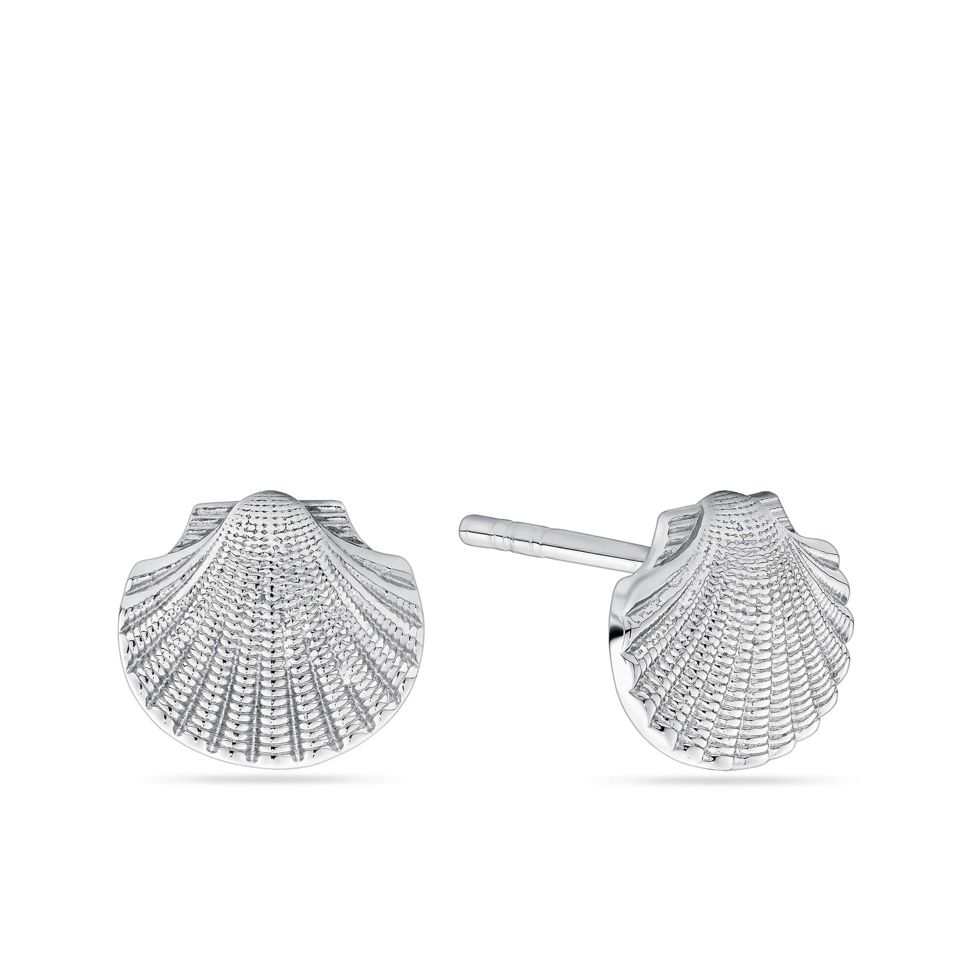 Shell Stud Earrings in Sterling Silver, photographed front on against a plain background. Each earring is shaped like a smooth, polished shell with a secure butterfly back fastening.