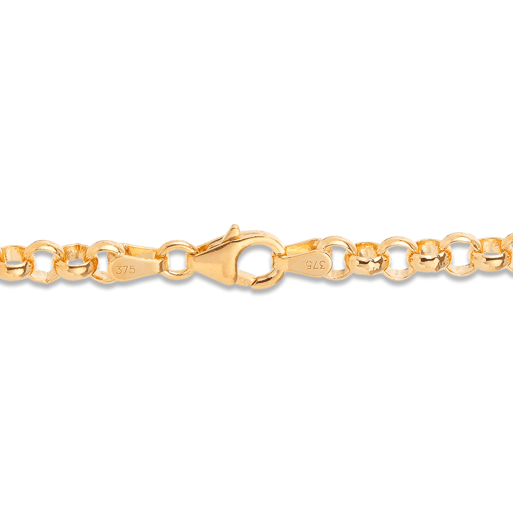50cm Belcher Chain in 9ct Yellow Gold