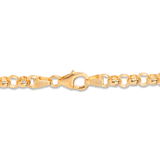 50cm Belcher Chain in 9ct Yellow Gold