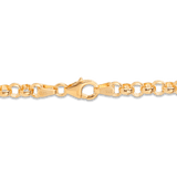 50cm Belcher Chain in 9ct Yellow Gold