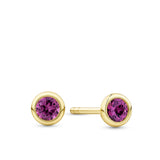 Front-on view of the Wallace Bishop Rhodolite Garnet Bezel Stud Earrings in 9ct Yellow Gold, reference 93ERRDL3Y, secured with butterfly backs. Each earring features a natural 3mm round rhodolite garnet in a bezel setting.