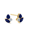 Sapphire & 0.8ct TW Diamond Cluster Earrings in 9ct Yellow Gold