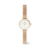 Daniel Wellington Petite Mini Women's 19mm Quartz Watch DW00100745
