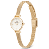 Daniel Wellington Petite Mini Women's 19mm Quartz Watch DW00100745