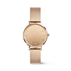 Daniel Wellington Petite Reflection Rose Gold Watch