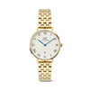 Daniel Wellington Petite Roman Numerals Date 5-link Gold