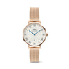 Daniel Wellington Petite Roman Numerals Date Rose Gold