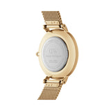 Daniel Wellington Petite Women's 32mm Quartz Watch DW00100348