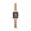Daniel Wellington Quadro Mini Crystal Zodiac Evergold Watch