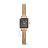 Daniel Wellington Quadro Mini Crystal Zodiac Evergold Watch