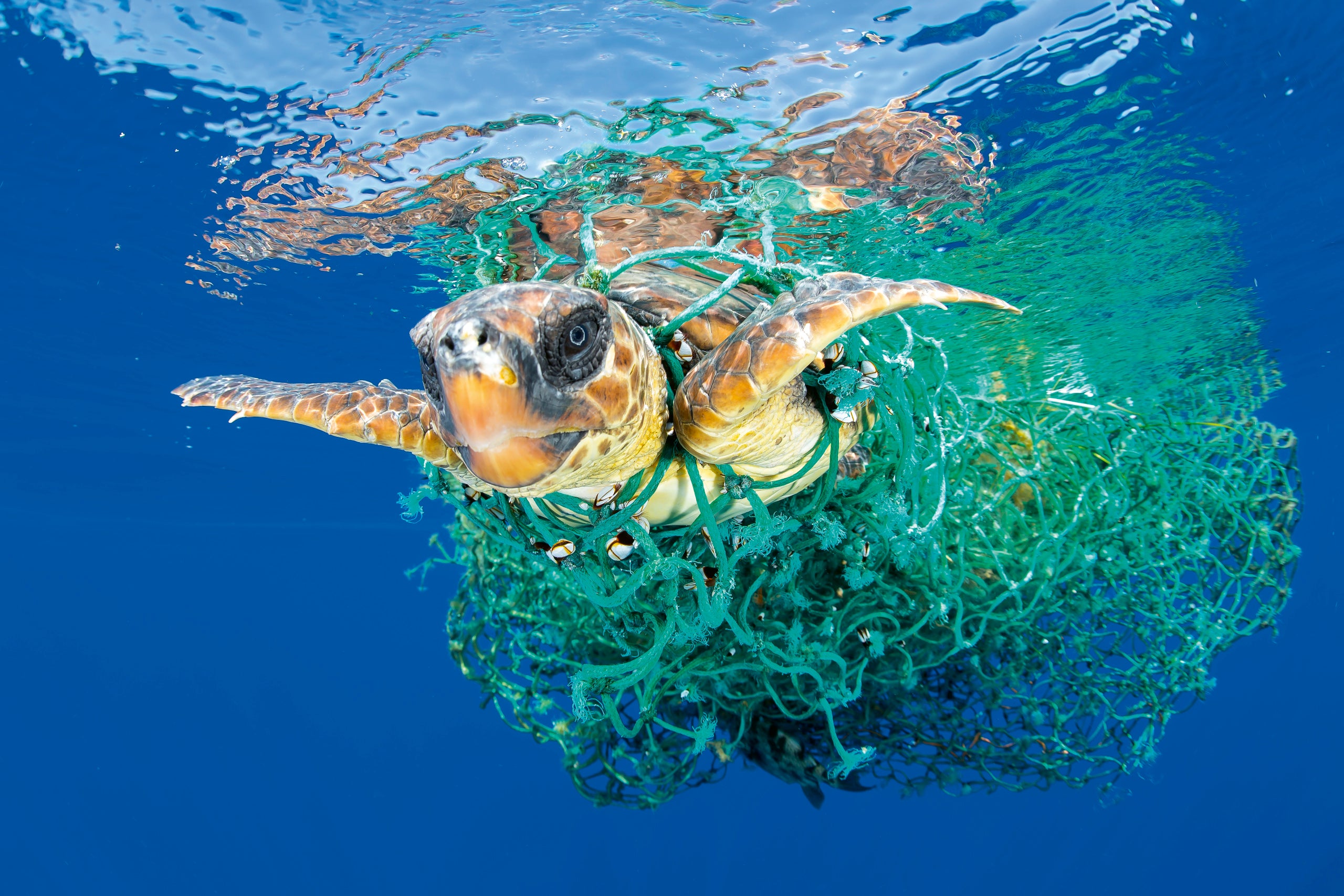 Oris Aquis Automatic Watch 733 7730 4137MB