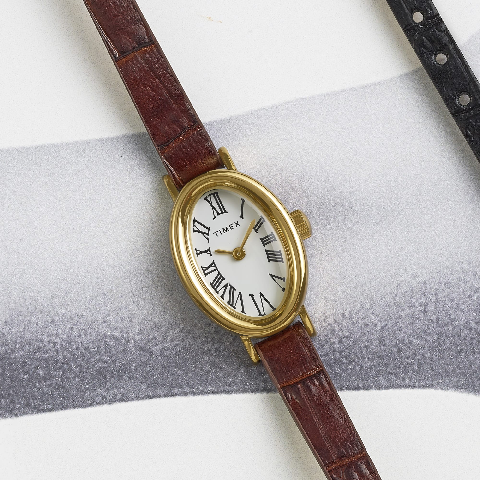 Timex Cavatina Quartz Women's 19mm Watch TW2W78500