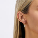 Pearl Drop Earrings in 9ct Yellow Gold