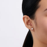 6mm Freshwater Pearl Stud Earrings in Sterling Silver