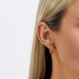 Oval Hoop Huggies in 9ct Yellow Gold