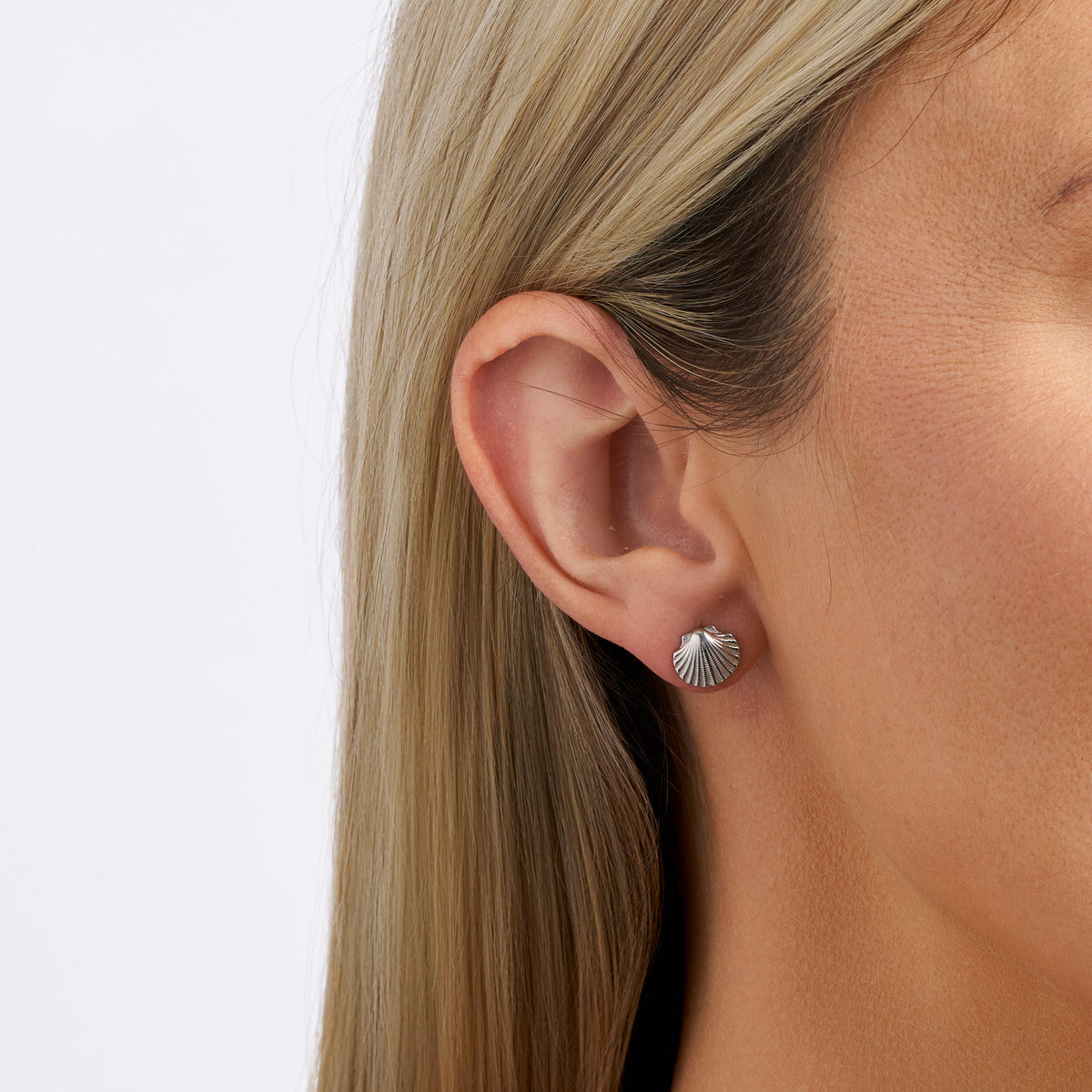 Shell Stud Earrings in Sterling Silver