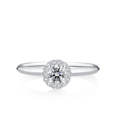 Amāre 0.37 Carat TW Diamond Halo Engagement Ring set in Platinum - Wallace Bishop