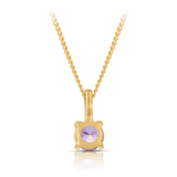 Amethyst Round Pendant in 9ct Yellow Gold