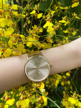August Berg Unisex Serenity Gold PVD Quartz 40mm Watch 10140D22SGD