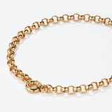 50cm Belcher Link Necklace in 9ct Yellow Gold