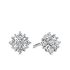 Cubic Zirconia Cluster Stud Earrings in Sterling Silver - Wallace Bishop