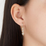 Diamond Drop Earrings in 9ct Yellow and White Gold TGW 0.12ct