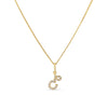 Diamond Initial Pendant in 9ct Yellow Gold - Wallace Bishop